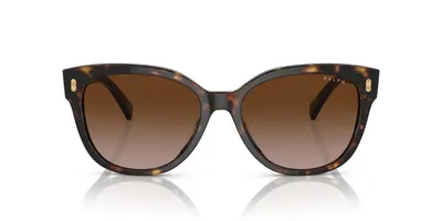 Imagen del producto de Gafas de sol, talla 56, color 500313, con protección UV, para uso diario