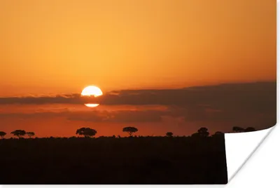 Produktbild von MuchoWow® Poster Silhouette mit südafrikanischen Bäumen im Hintergrund im Kruger National Park 120x80 cm - Bilder