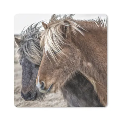 Produktbild von MuchoWow® Mauspad Mousepad Pferde - Natur - Makro 30x30 cm - Mousepads - Maus Mat - Pad - Mausunterlage - Gaming