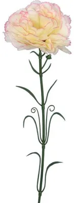 Imagen del producto de Clavel rosa y blanco individual, 54 cm