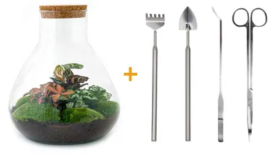 Produktbild von Flaschengarten "Sam XL" ROT DIY-Pflanzenterrarium 35 cm incl. Rechen, Schaufel, Pinzette und Schere
