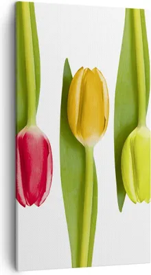 Produktbild von Bild auf Leinwand - Leinwandbild - Tulpe Blume Garten Komposition - 45x80cm - Wand Bild - Wanddeko - Leinwanddruck - Bilder - Kunstdruck - Wanddekoration - Leinwand bilder - Wandkunst - PA45x80-2360