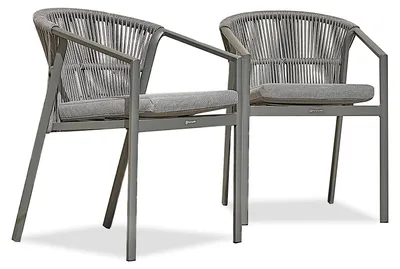 Image de Lot de 2 Fauteuils de jardin