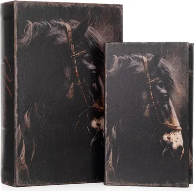 Produktbild von Buchhüllen Set Pferd Motiv - 2-teiliges Geheimversteck mit edlem Pferdekopf-Design - Deko Buchbox für Schmuck & Dokumente - Versteckte Aufbewahrung 27,2x18x7cm & 21,2x13x5cm