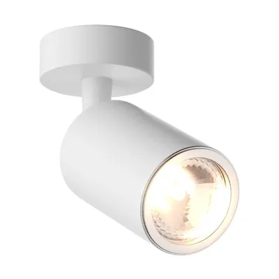Immagine prodotto di Lampada riflettore direzionale TORI 20016-WH-N, serie Zuma