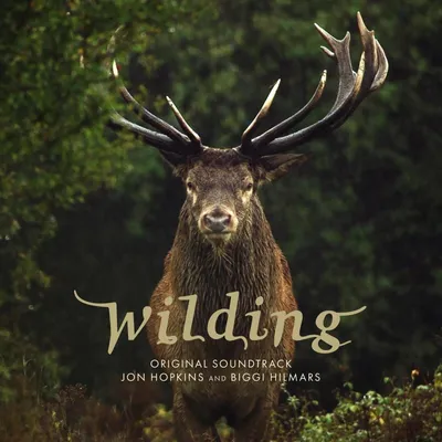Obrázok produktu pre Jon Hopkins & Biggi Hilmars - Wilding (Original Soundtrack) (LP)