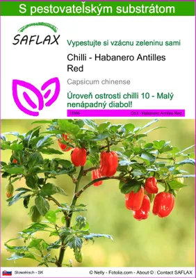 Obrázok produktu pre SAFLAX - Chilli - Habanero Antilles Red - Capsicum chinense - 10 Semená - S pestovateľským substrátom bez klíčkov