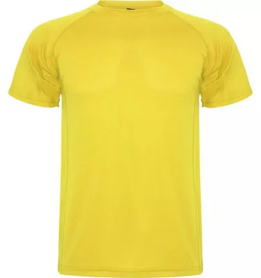 Image de Roly Sport - T-shirt « Montecarlo » pour homme LT2834 (S) (jaune)