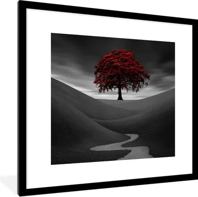 Produktbild von MuchoWow® Gerahmtes Poster Schwarz-Weiß-Foto mit einem roten Baum 40x40 cm - Poster mit Schwarzem Bilderrahmen Wandposter Rahmen Foto Bilder - Poster - Plakat im Rahmen