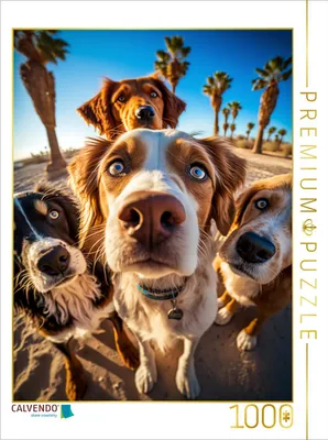Produktbild von CALVENDO Puzzle Hunde | 1000 Teile Lege-Größe 64x48cm Foto-Puzzle für glückliche Stunden