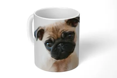 Produktbild von KitchenYeah® Tasse Kaffeetasse Kaffeebecher 350 ml Hund - Haustiere - Porträt Teetasse - Fototasse - Becher - Keramikbecher - Teebecher - Kaffeetasse - Bürotasse