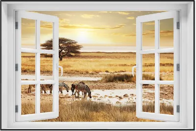 Produktbild von Wallario Wandbild mit Fenster-Illusion: Safari in Afrika  eine Herde Zebras am Wasser, Größe: 61 x 91,5 cm, Poster mit schwarzem Aluminiumrahmen