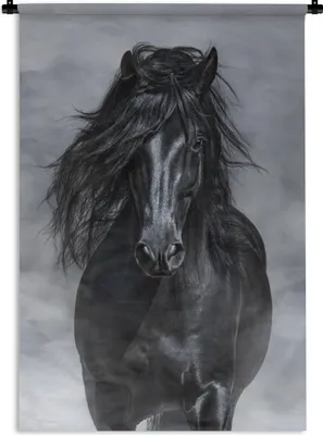 Produktbild von MuchoWow® Wandteppich Wandbehang Pferd - Grau - Schwarz 120x180 cm Tapisserie Dekoration Wandtuch - Schlafzimmer - Dekorationen für das Haus