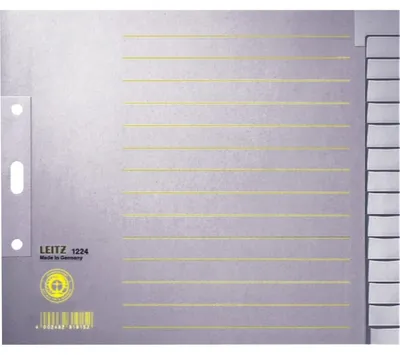 Produktbild von Leitz Register Blanko, Papier, Leerer Registerindex, Papier, Grau, 100 g/m², 240 mm, 200 mm