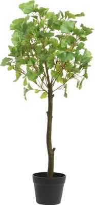 Image de Plante en pot Gilde, Ginkgo, plastique, vert, lot de 1, H. 76 cm 99348