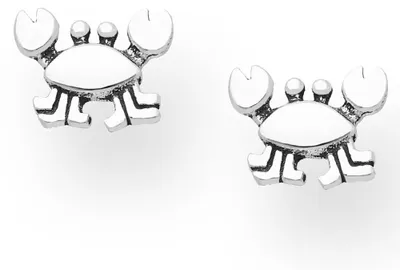 Produktbild von Ohrstecker Strandkrabbe: Ohrringe Silber 925