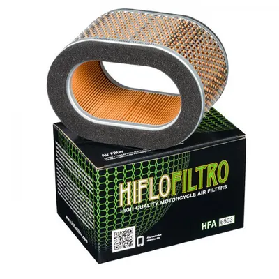 Produktbild von Luftfilter Triumph 955 Sprint Rs / Rt (02-04), 955I Daytona (02-06), 955I Speed Triple (02-04) (Oem T2201751) (20) (T