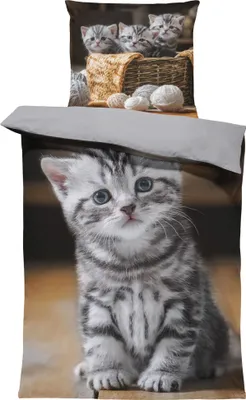 Produktbild von 4 teilig Katzen Bettwäsche 135x200 cm süße Katze Welpen Baby grau Mikrofaser