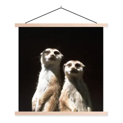 Produktbild von MuchoWow® Textilposter Schwarz - Erdmännchen - Tiere 60x60 cm mit holzfarbenen Rahmen - Wanddekoration
