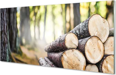 Produktbild von Glasbilder 120x60 Wandkunst Holz Wald Natur