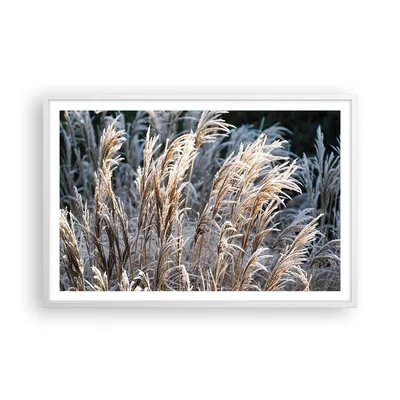 Produktbild von Gerahmtes Poster - Weißer Rahmen - Stock Ähren Boho - 91,5x61 cm - Wand Bild - Wanddeko - Wandbilder - Kunstposter - Wandposter - Bilderrahmen - Bilder - Kunstdruck - Wanddekoration - P2WAA91x61-4523