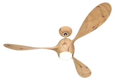 Immagine prodotto di ECO FIORE 142, Ventilatore con Luce, CasaFan
