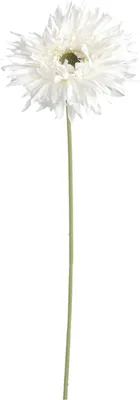 Produktbild von Dekorative Gerbera-künstliche Blumen nicht verblüffende realistische Blumenarrangementssimulation Gerbera Wohnkultur-Weiß