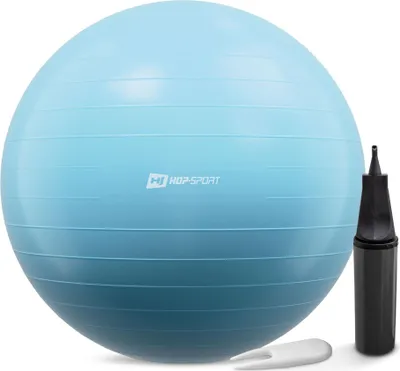Obrázek produktu pro Gymnastický míč s pumpou 65 cm modrý