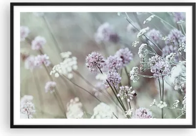 Produktbild von Gerahmtes Poster - Schwarzer Rahmen - Wiese Knoblauch Blume - 91,5x61 cm - Wand Bild - Wanddeko - Wandbilder - Kunstposter - Wandposter - Bilderrahmen - Bilder - Kunstdruck - Wandbild P2BAA91x61-4177