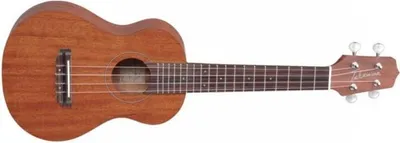Immagine prodotto di Takamine GU-S1