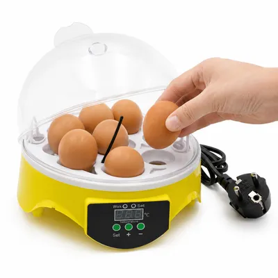 Produktbild von Automatische Brutmaschine digital, 7 Eier Inkubator, für Hühner & Wachteln, Temperaturkontrolle, leiser Ventilator, 20W, kompakt