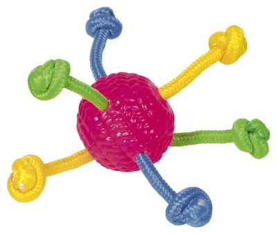 Image de Nobby Balle TPR avec cordes de jeu Ø 8 cm