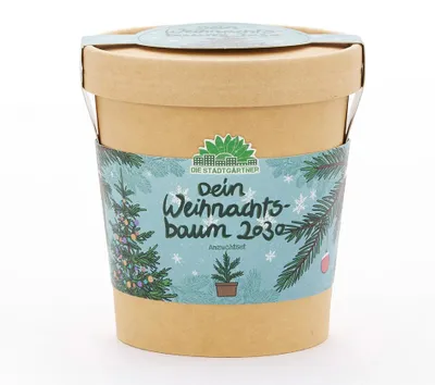 Produktbild von Stadgärtner Weihnachtsbaum aus dem Becher 1Stück