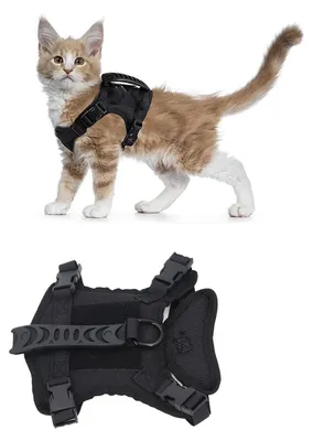 Image de Harnais pour chat réglable - Harnais avec laisse - Gilet pour chat doux - Anti-évasion - Tissu en maille respirant - Matériau en polyester