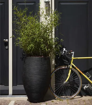 Produktbild von Capi Vase Nature Rib Elegant Deluxe 45x72 cm Schwarz