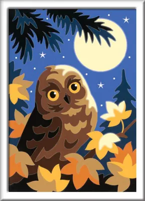 Image de Ravensburger 28697 Ravensburger Malen-nach-Zahlen Eule im Mondschein