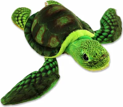 Produktbild von Grüne Schildkröte Kuscheltier - ca. 25 cm