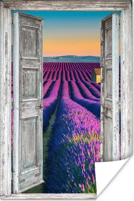 Produktbild von MuchoWow® Poster Lavendel - Sommer - Ausblick - Blumen 80x120 cm - Papierdruck