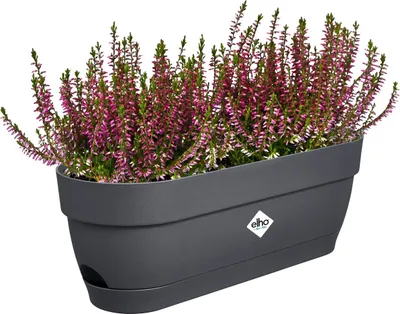 Produktbild von vibia campana balkonkasten 50cm anthrazit