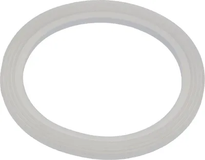 A white gasket ring on a white background.