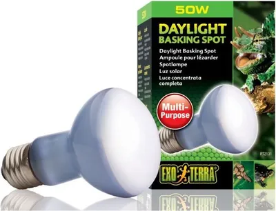 Image de Ampoule EXO TERRA Daylight Basking Spot 50 W