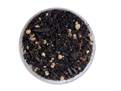 Obrázok produktu pre Gardners Herb Substrát, 1 l - BEZ OBALU