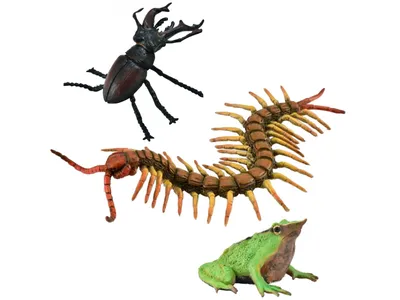 Obrázek produktu pro Collecta Sada figurek hmyzu, figurky zvířat 3+