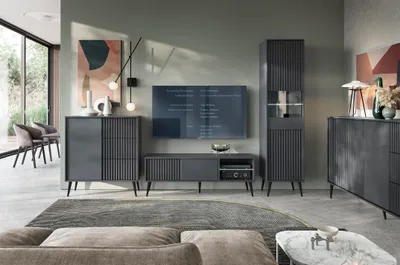 Immagine prodotto di Set soggiorno Barcello, mobili per soggiorno grigio antracite opaco, parete attrezzata con ante a coste, stile loft, industriale, senza maniglie, gambe nere, tavolino, vetrina, mobile TV 05 (set completo)