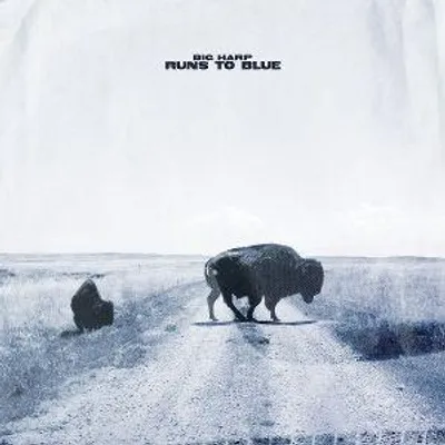 Produktbild von Big Harp: Runs To Blue