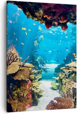 Produktbild von Bild auf Leinwand - Leinwandbild - Einteilig - Ozean Riff Fische Koralle - 50x70cm - Wand Bild - Wanddeko - Wandbilder - Leinwanddruck - Wanddekoration - Leinwand bilder - Wandbild - PA50x70-2872