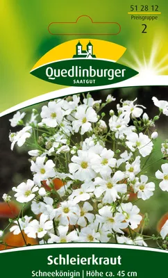 Produktbild von Schleierkraut Schneekönigin | Blumensamen von Quedlinburger [MHD 01/2025]