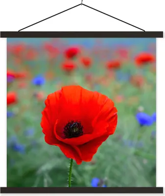 Produktbild von MuchoWow® Textilposter Lila und rote Mohnblumen auf einer Wiese 60x60 cm mit schwarzem Rahmen - Posteraufhänger