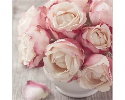 Produktbild von Glasbild Vintage Roses I 50x50 cm