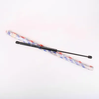 Produktbild von Gasdruckfeder hinten 5981660